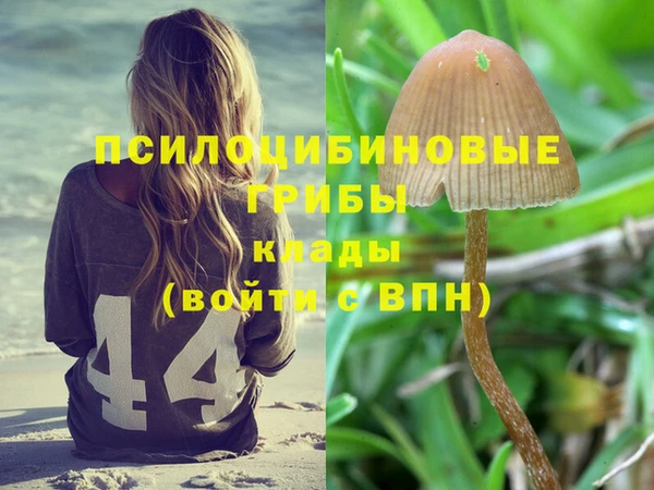 Альфа ПВП Алзамай