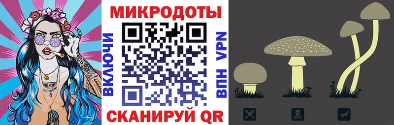 Псилоцибиновые грибы прущие грибы  Биробиджан 